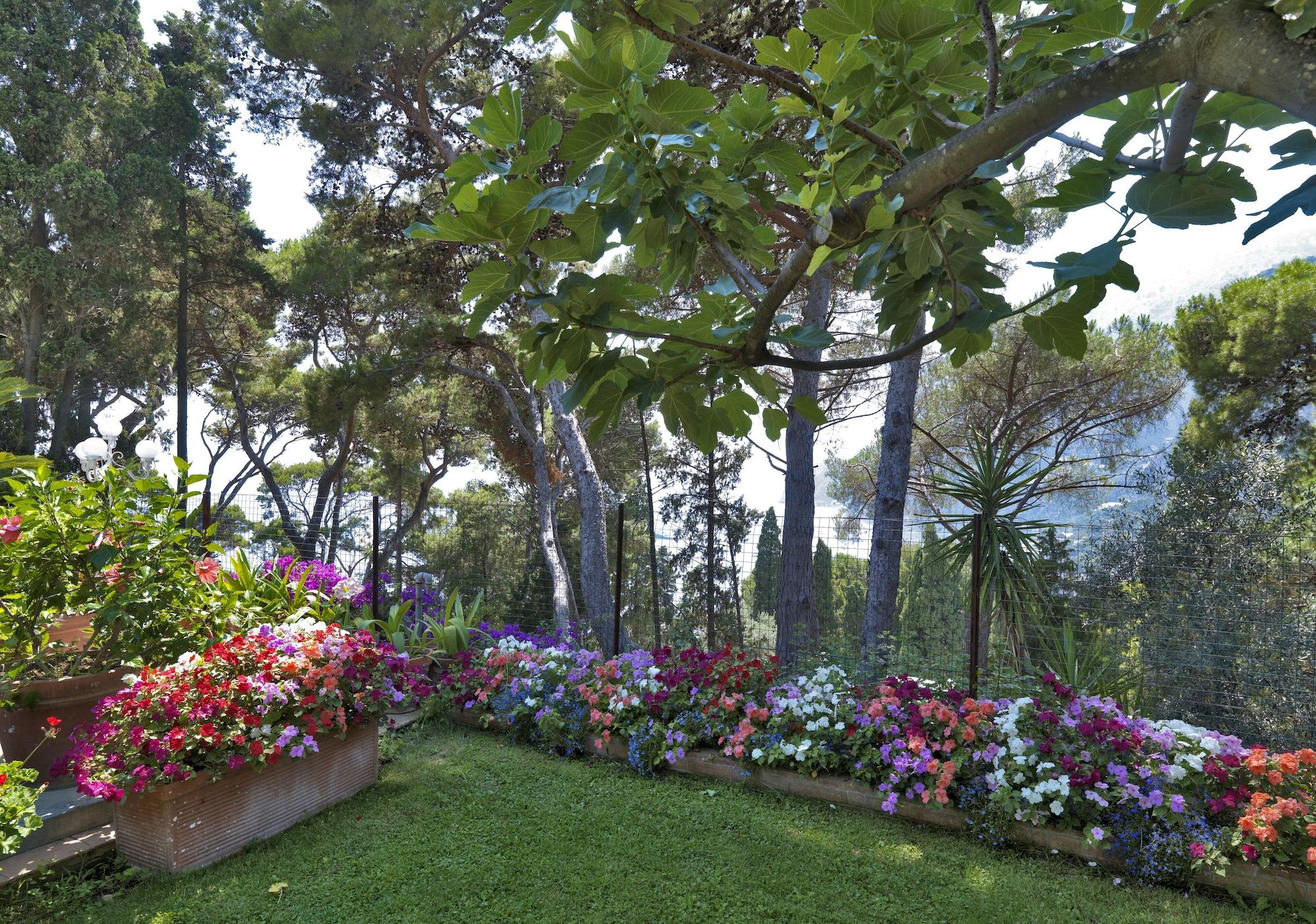 Hotel Villa Brunella Capri Esterno foto